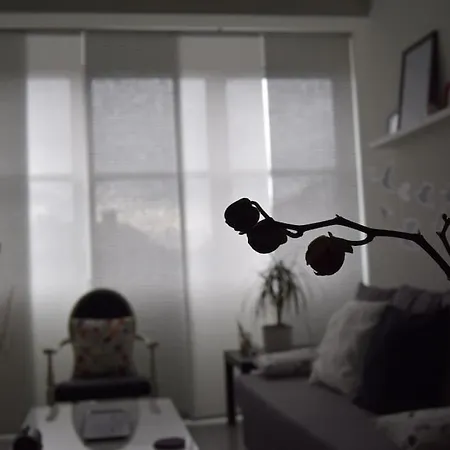 Piso Con Encanto En Coruna. Apartment *