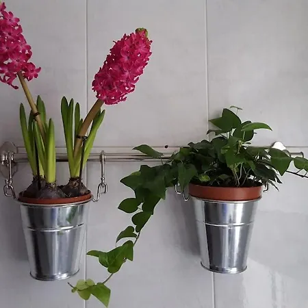 Apartment Piso Con Encanto En Coruna. *