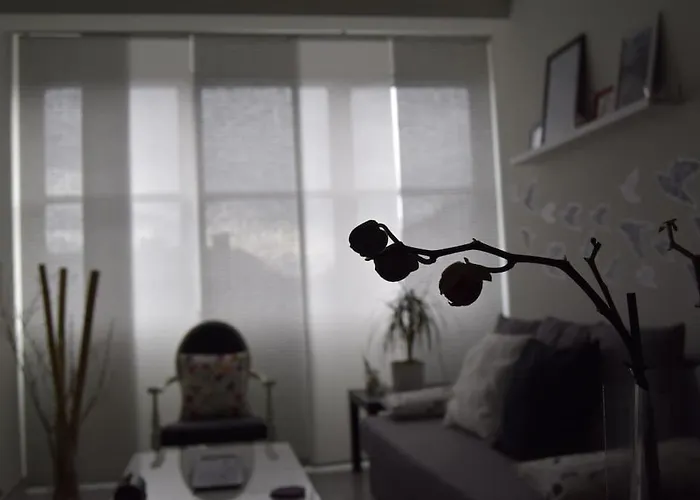 Piso Con Encanto En Coruna. Apartment *