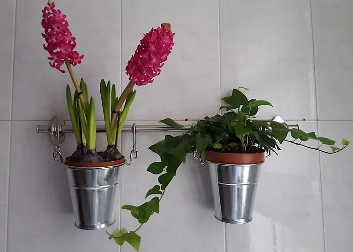 Apartment Piso Con Encanto En Coruna. *